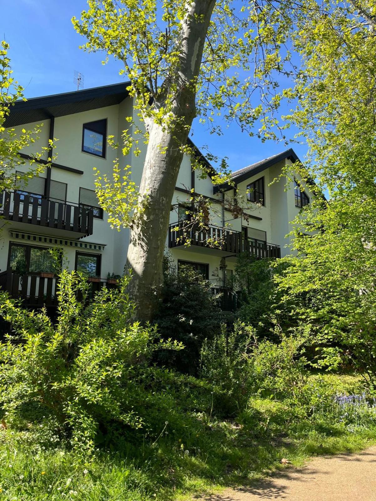 Zentrale Ferienwohnung Am Buhlschen Park In Дайдесхайм Экстерьер фото
